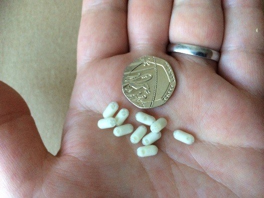 capsules